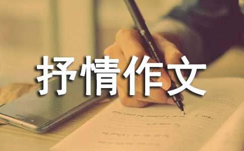 過(guò)年_高中抒情作文