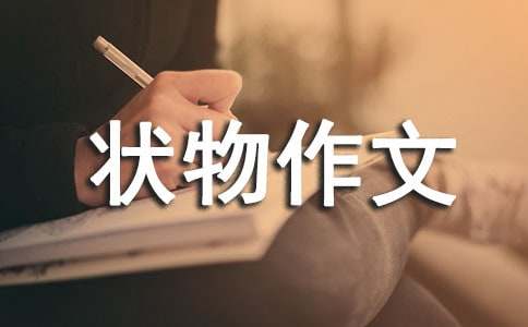 一年級狀物作文(15篇)