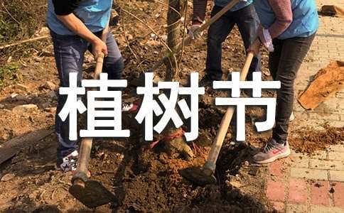 植樹節記一次植樹活動作文