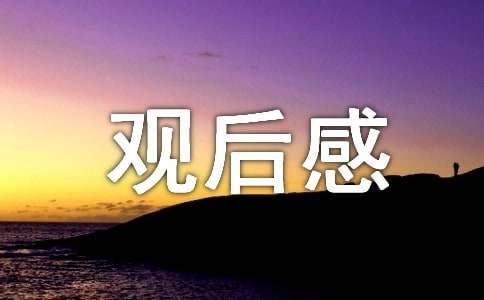 觀(guān)看神舟二十號(hào)發(fā)射的觀(guān)后感（通用20篇）
