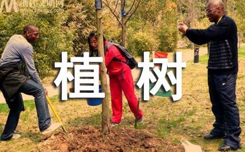 植樹與乘涼漫畫的啟示作文優質
