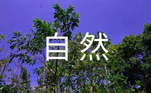 讓真情自然流露六年級作文500字