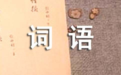 形容詞語貶義詞(9篇)
