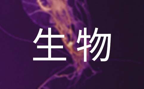 人教版高中第五冊(cè)三單元作文：生物鏈的毀壞