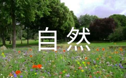 感受自然七年級作文650字