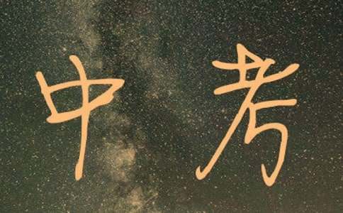 中考素材：話題作文關于“真”（精選15篇）